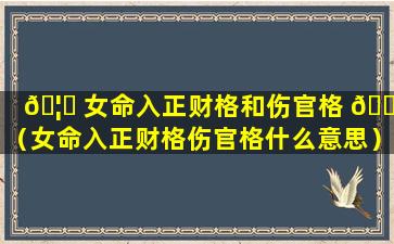 🦋 女命入正财格和伤官格 🐶 （女命入正财格伤官格什么意思）